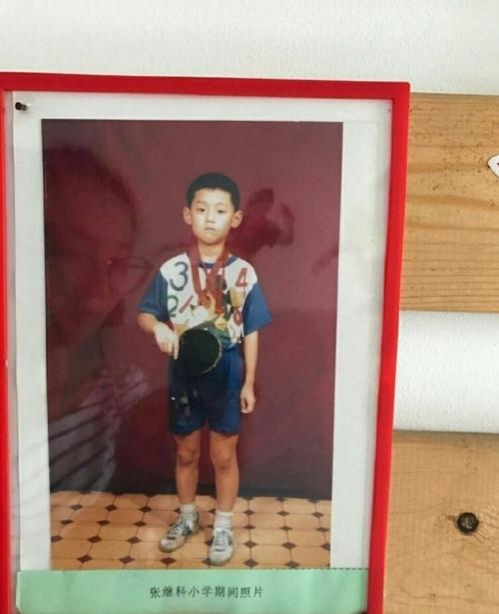 张继科能和刘诗雯最后走在一起吗,乒乓球十大未解之谜张继科刘诗雯