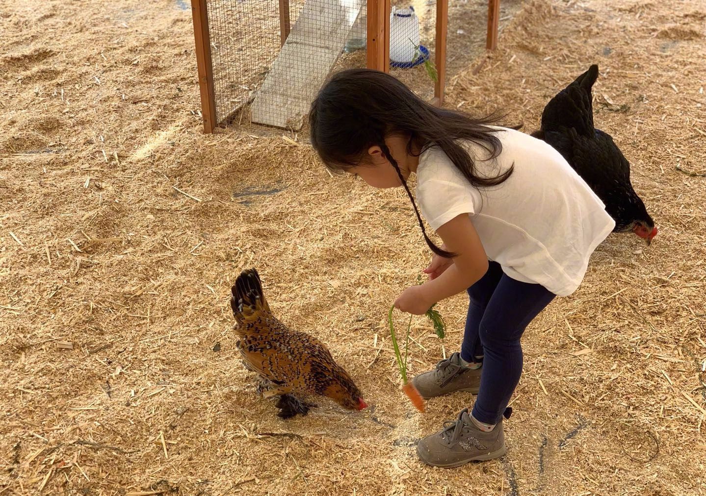 章子怡生二胎后醒醒跟汪峰对话,章子怡生产后出游