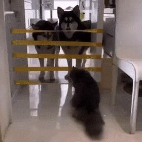 学会这招不愁找不到女朋友,学会这几招不怕找不到女朋友