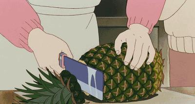 菠萝和凤梨到底是不是同一种水果,与凤梨菠萝相似的水果