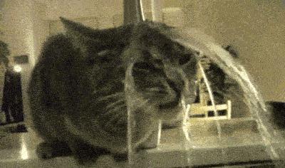 最新泰国护肤品爆款是什么牌子,泰国护肤品真的值得购买吗