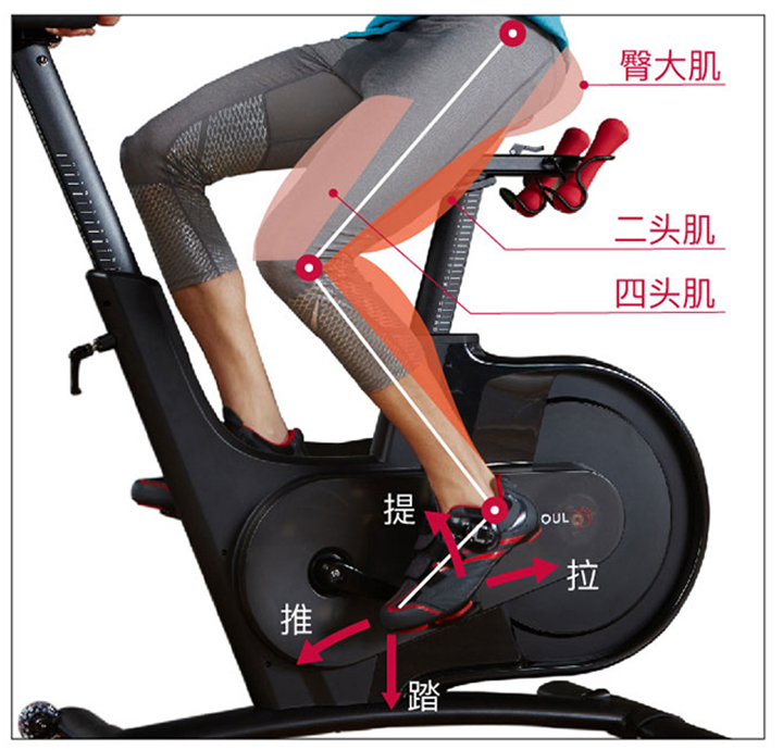 动感单车都有什么功能,动感单车的好处和坏处中老年