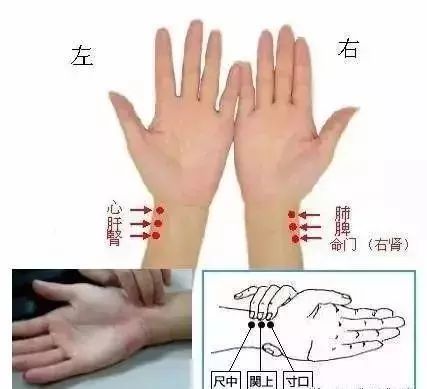 把脉入门教学课程可以在哪看,把脉免费教学技巧