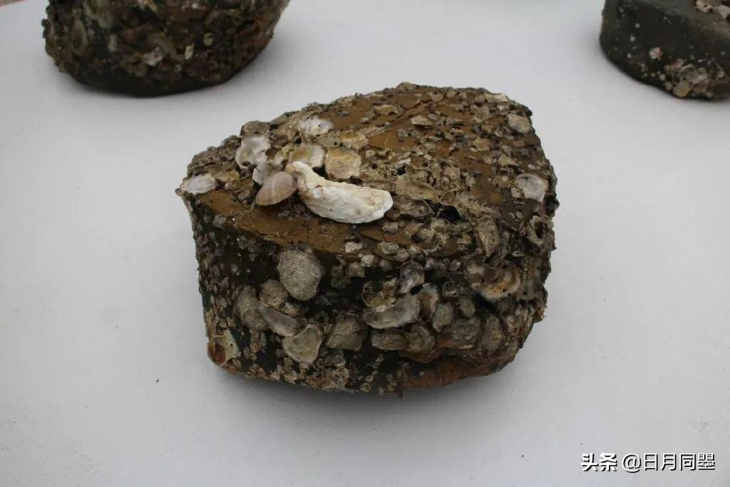 往事丨1992年,他们在武汉策划了一次消毒艺术运动