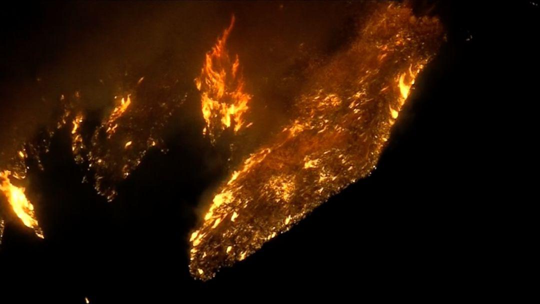 中国人吃肉对巴西有影响吗,中国人吃肉影响巴西雨林生态环境