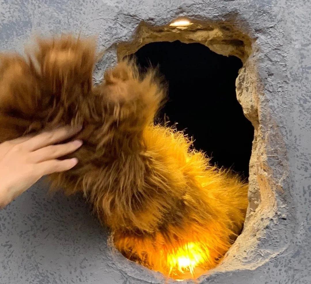 上海iapm熊爪咖啡,上海网红咖啡熊爪一天卖多少