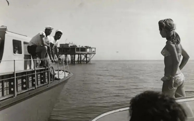 玫瑰岛的不可思议的历史哪看,玫瑰岛不可思议的历史免费观看