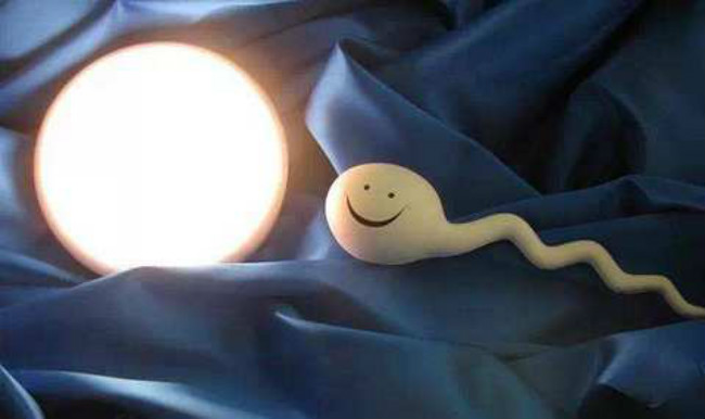 女性备孕吃什么食物才好,女性备孕吃什么宝宝聪明