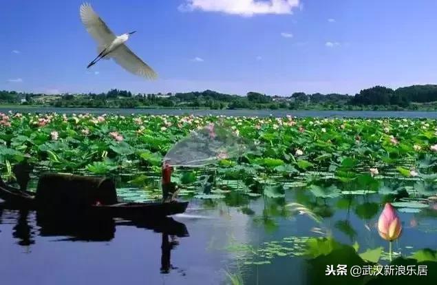 湖北马上要崛起的县,湖北应该重点发展的4个县市