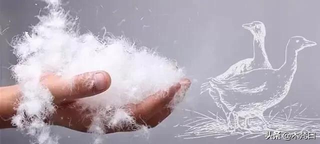 羽绒服谁都有，“懂买”羽绒服没几个，怎么选才能既保暖又时髦