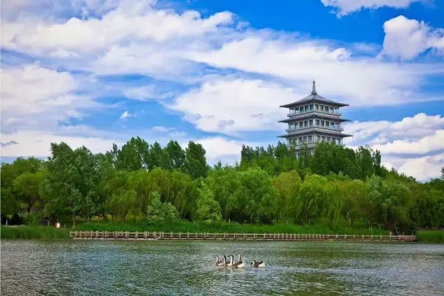 央视新闻直播西安夜景,央视直播西安奥体中心