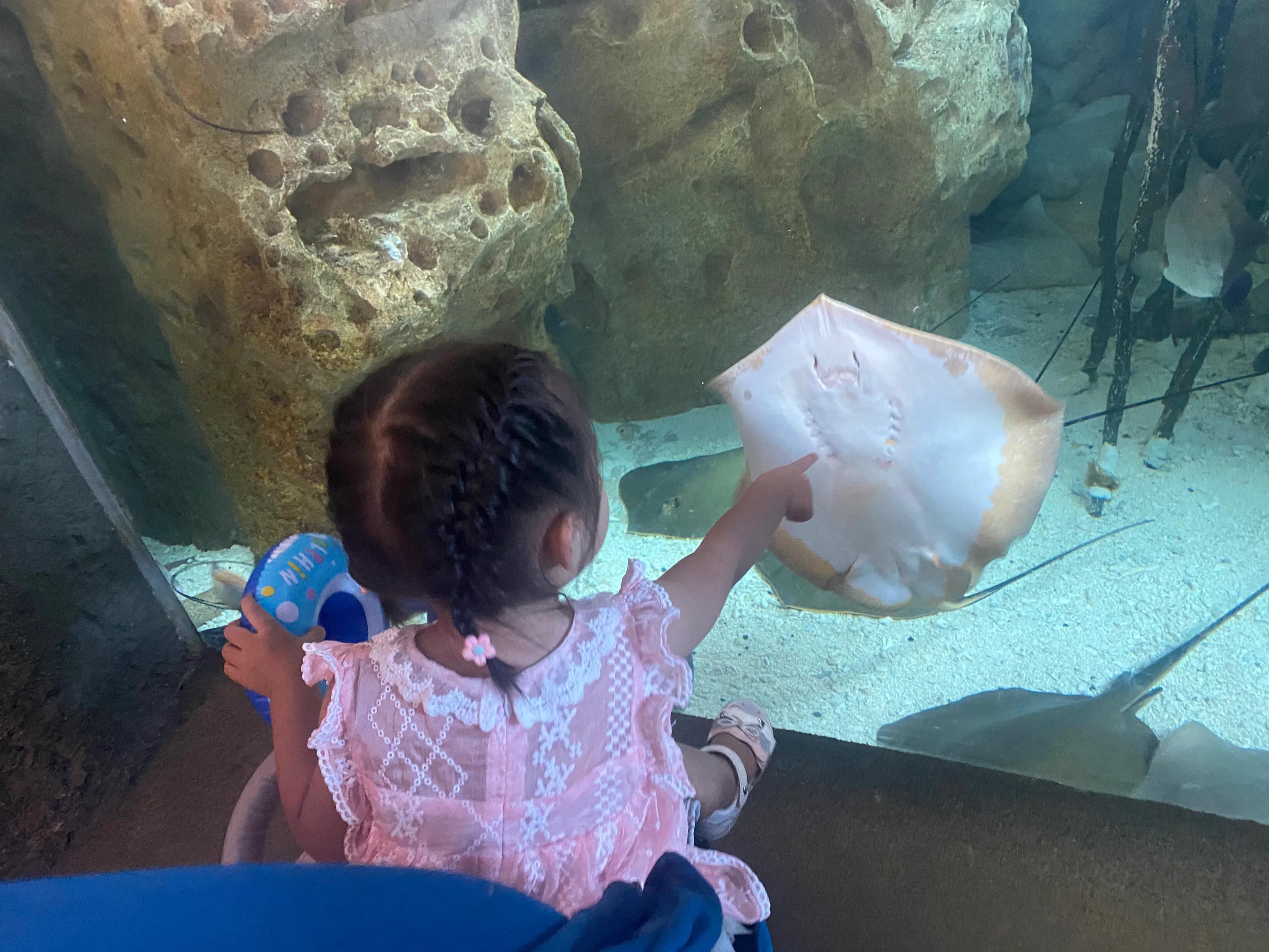 珠海长隆海洋王国攻略时间表,珠海长隆海洋王国攻略图