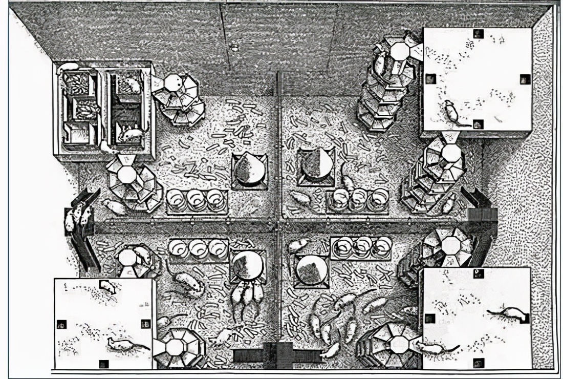 性冷淡性变态！性萧条时代来临！这场暗黑实验，解释社会矛盾