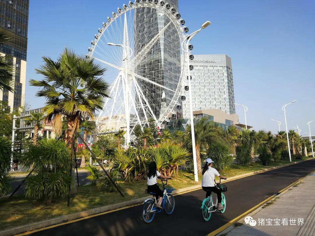 偌大的城市我的栖身之处在何处,偌大的城市容不下一个漂泊的灵魂