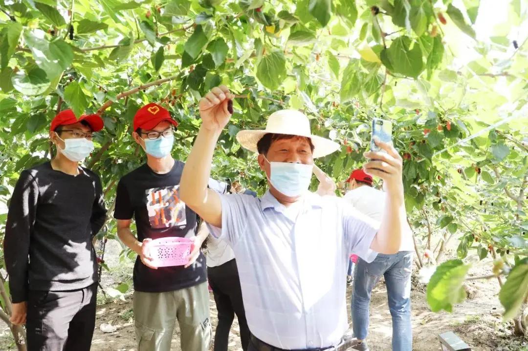 枣阳市创建乡村振兴示范县,襄州区乡村振兴扶贫工程