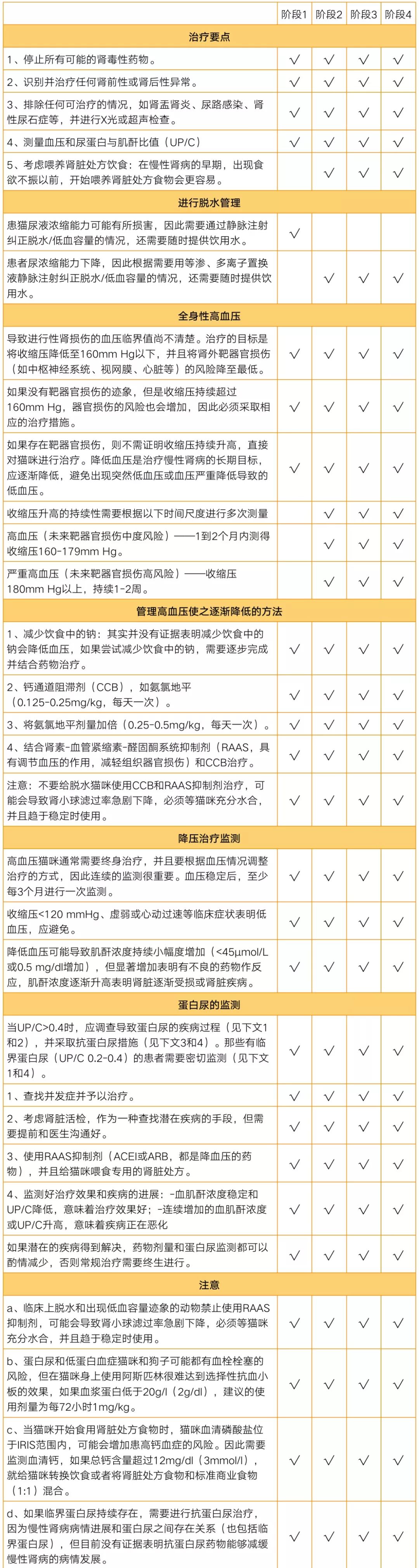 猫病视频,猫肾脏病视频大全