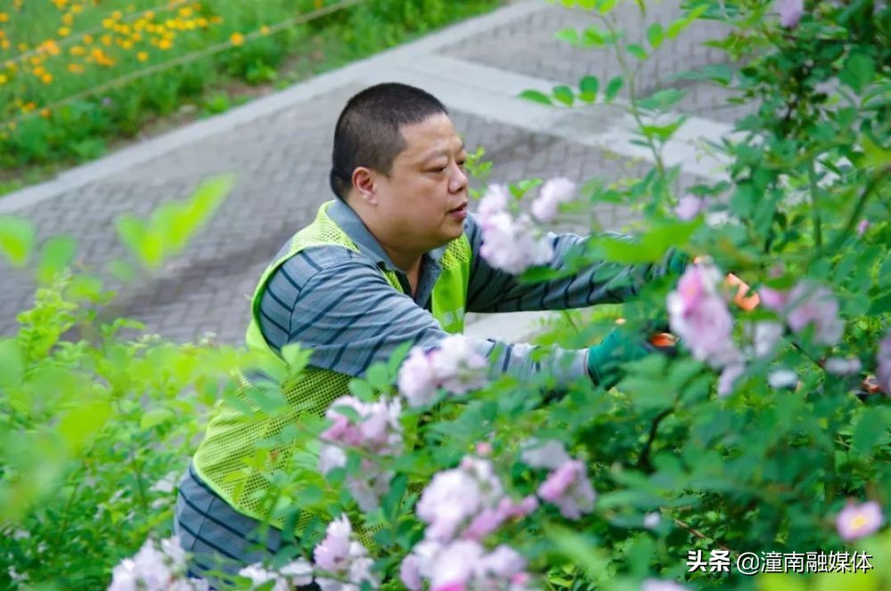 问需于民为群众办实事,潼南区切实办好民生实事