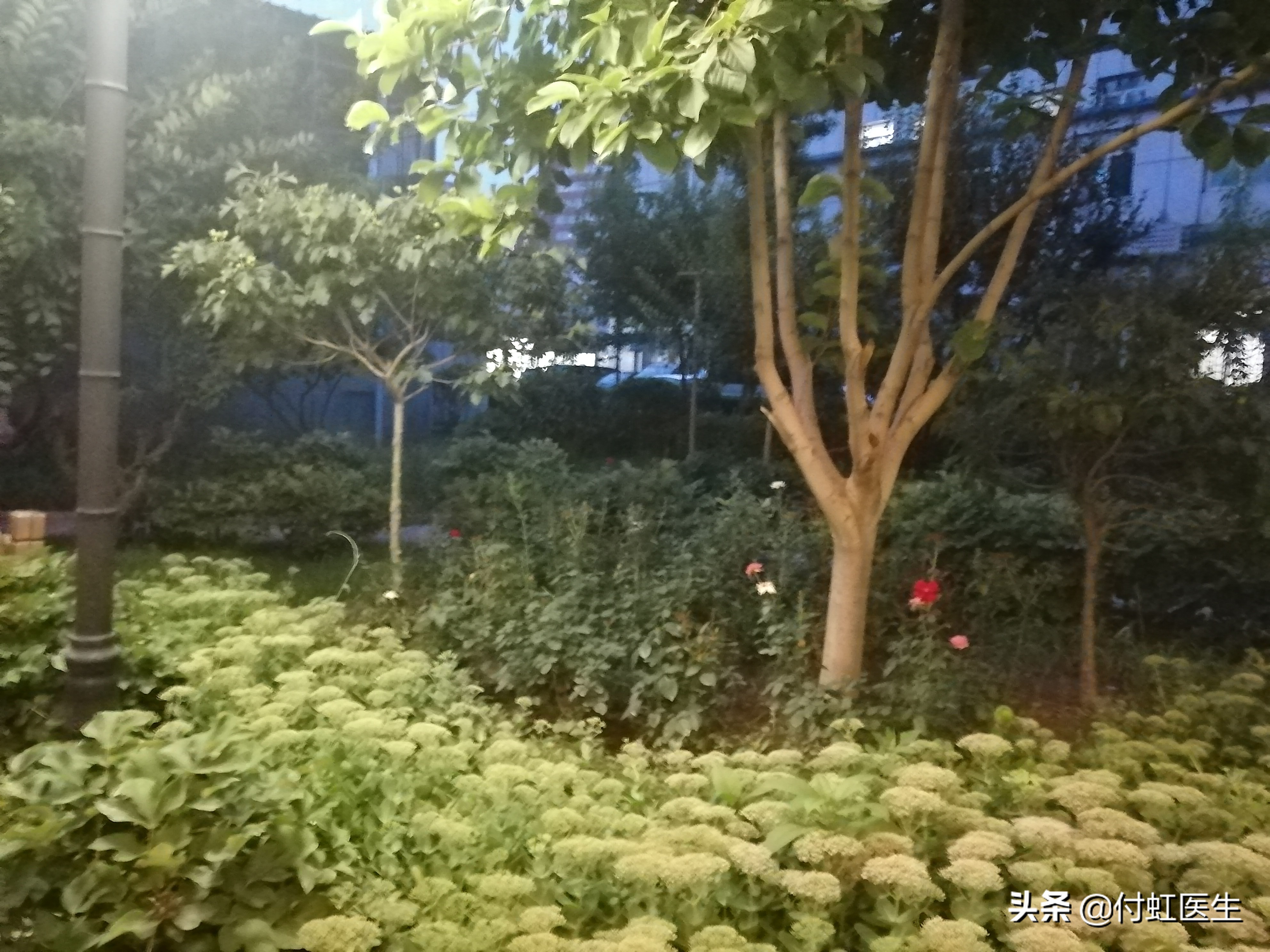 妇科大出血紧急处理,妇科大出血处理