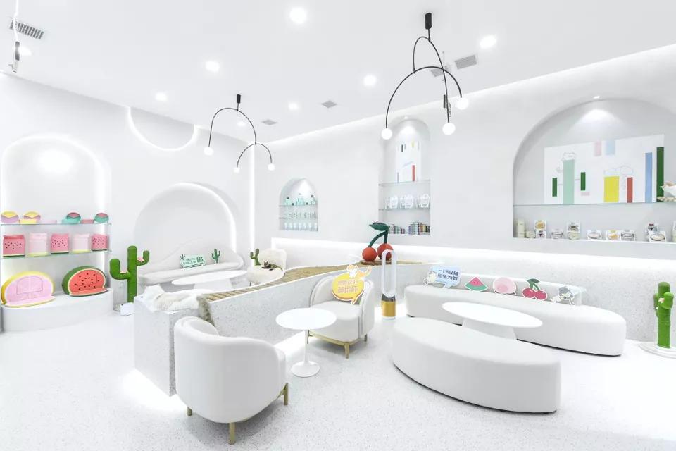 宠物店铺的主流品牌有哪些,宠物品牌现状