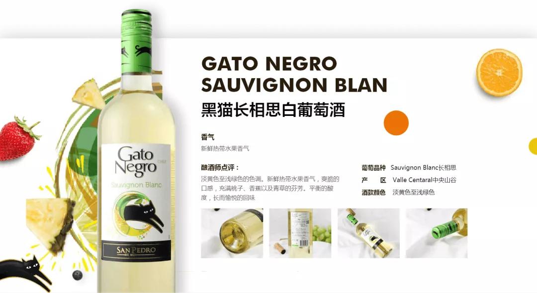 全球No.6葡萄酒品牌-黑猫GatoNegro如何引领葡萄酒时尚风潮?