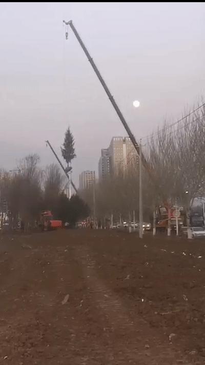 欧亚净月南临河街 (南临河街净月)