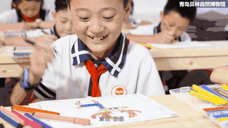 青岛贝林自然博物馆,青岛贝林博物馆门票优惠政策