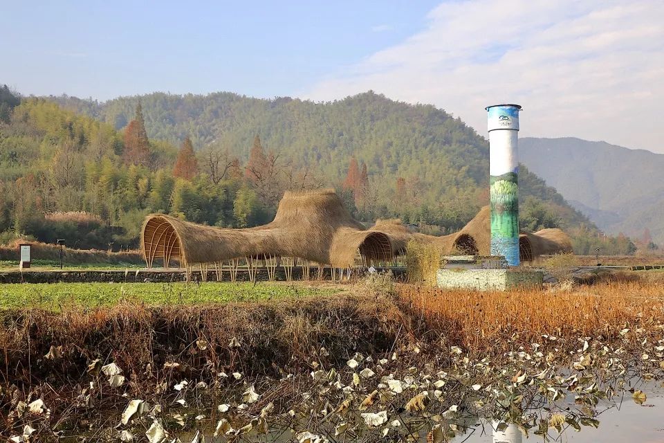 安吉是美丽的地方,安吉为什么是上海后花园