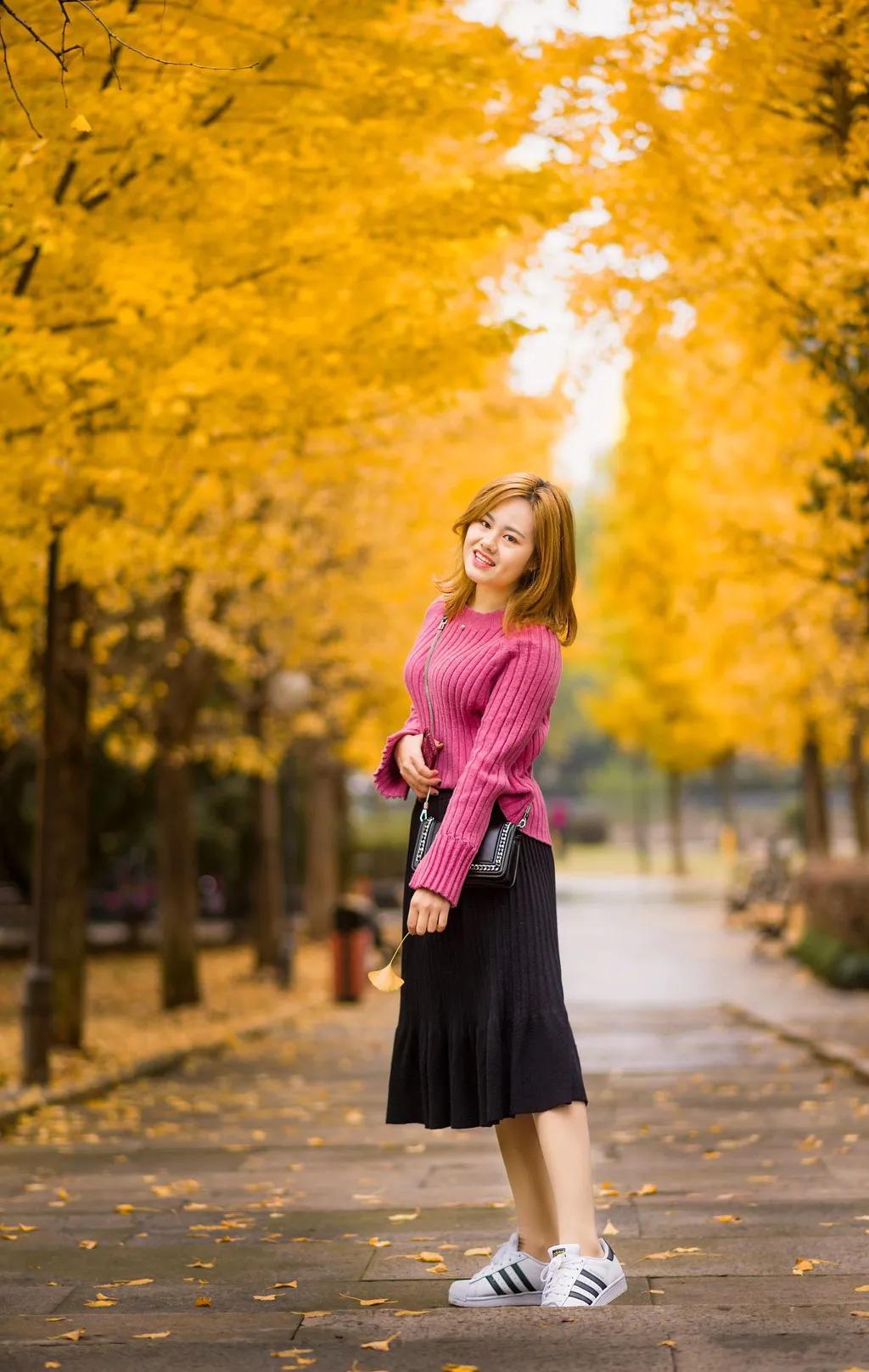 泰兴白果树的图片,泰兴老银杏树