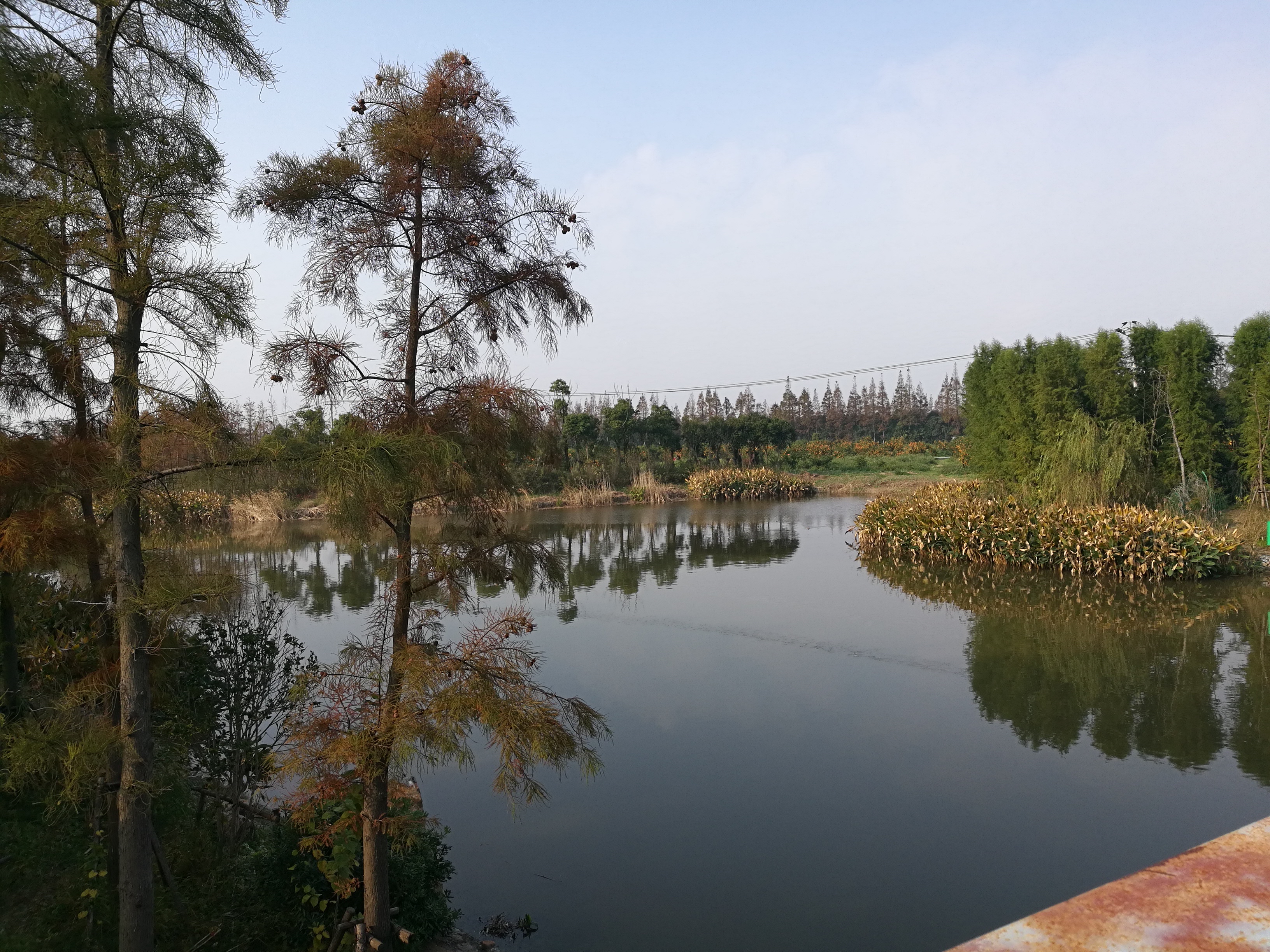 上海崇明岛郊野公园扩建工作,崇明长兴岛公园规划