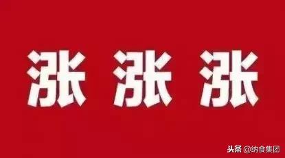 康师傅茉莉蜜茶多少钱一盒,无糖康师傅茉莉蜜茶