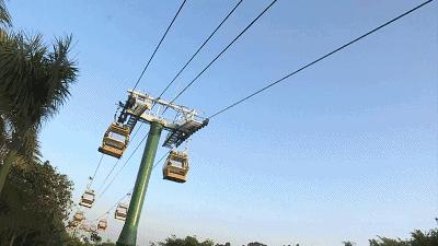 长隆野生动物世界暑假攻略,广州长隆野生动物园亲子一日游攻略