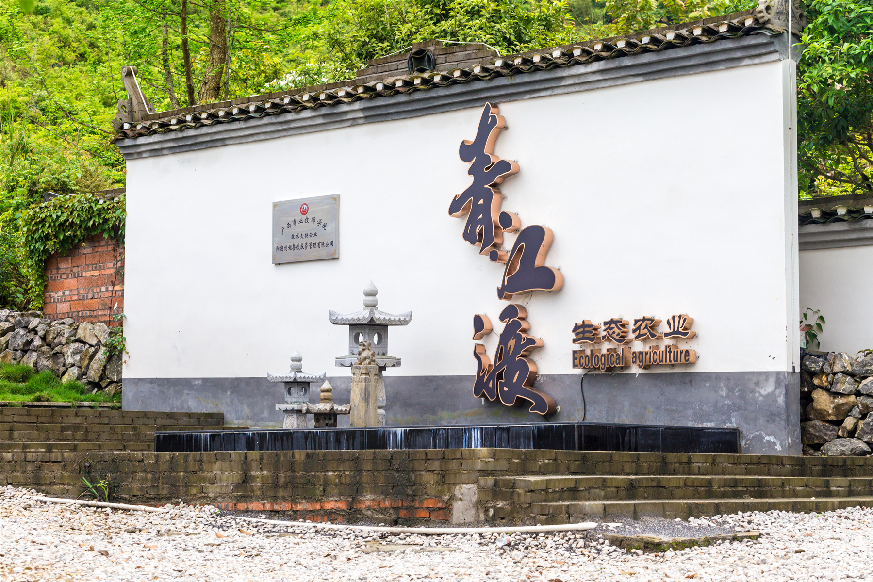 阳朔美食全攻略,阳朔必吃美食攻略