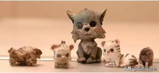 英斗不爱动正常吗,英斗懒得不想出门