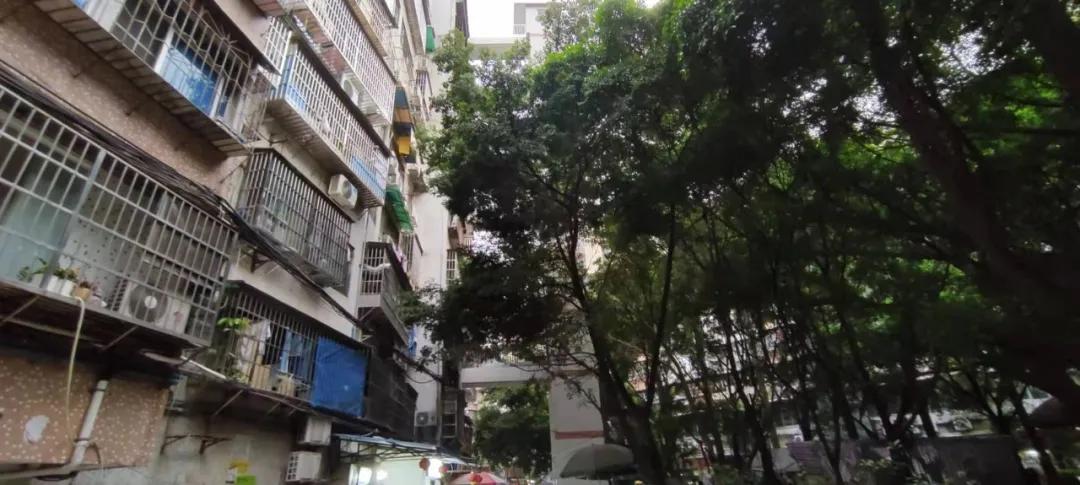 东晓南板块怎么样,东晓南地铁上盖楼盘