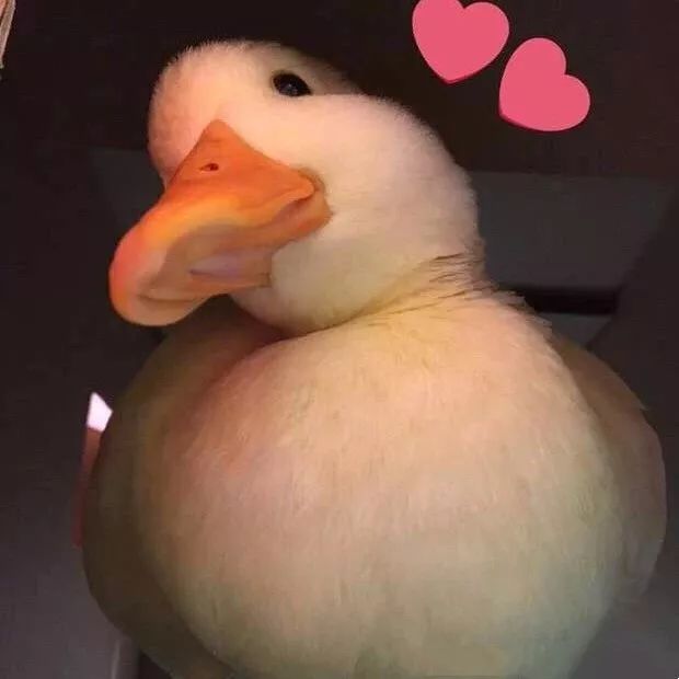 ins比较好的时尚博主,ins超火时装博主