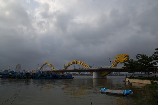 华人在越南经济地位,华人在越南的历史