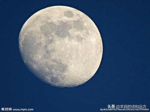 苏轼的水调歌头婵娟表达了什么,千里共婵娟是苏轼什么时候写