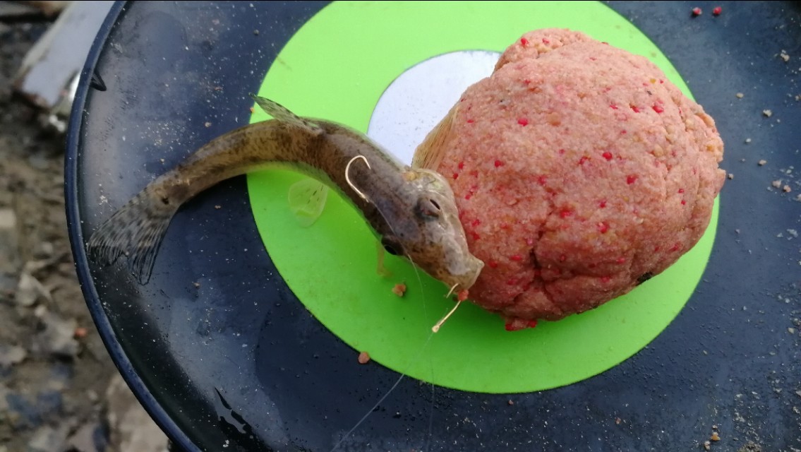 钓鱼线组搭配与鱼钩的大小,鱼塘钓鱼线组的最佳搭配