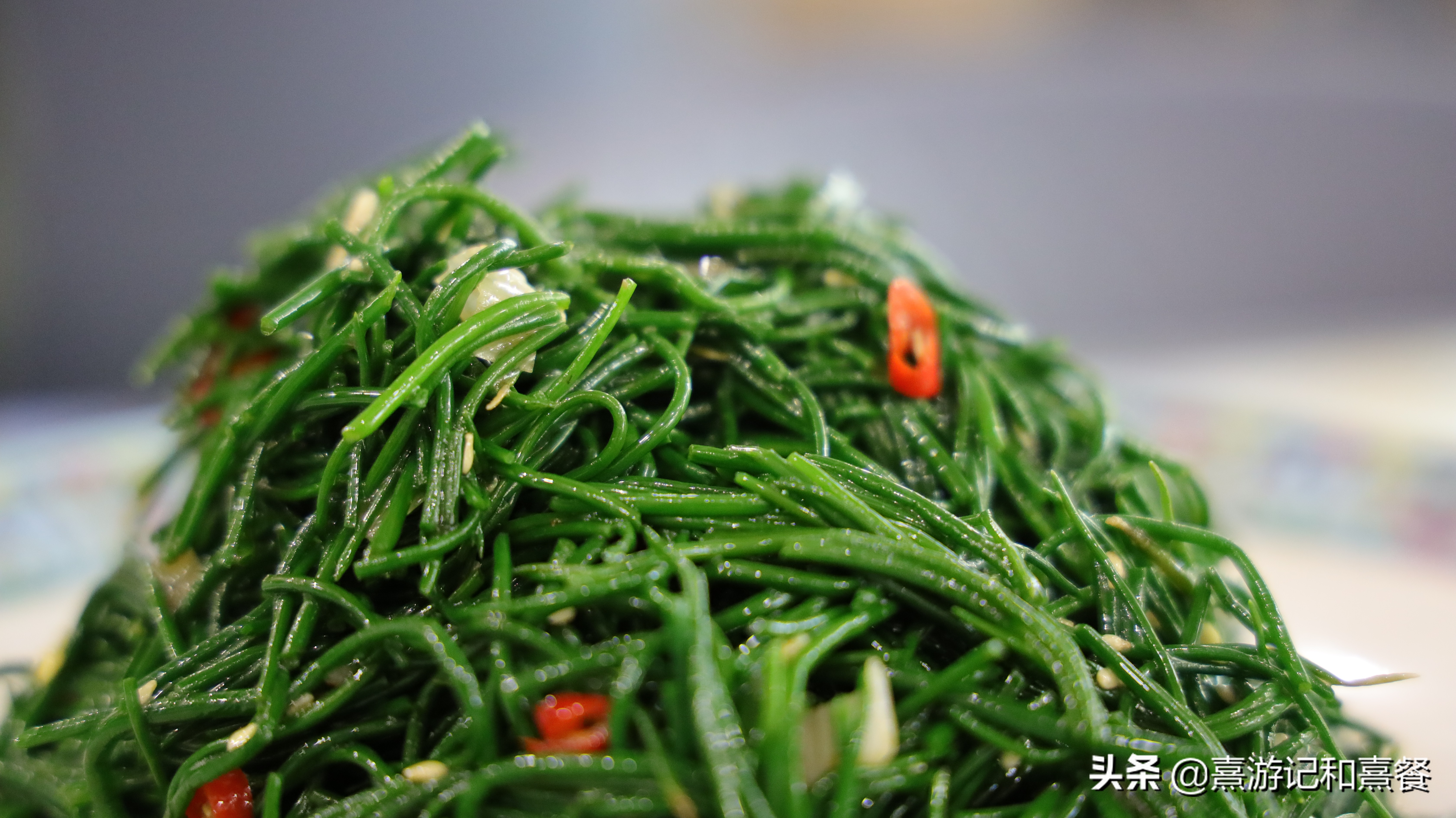 中卫沙漠旅游最合适景点,中卫的沙漠好玩吗