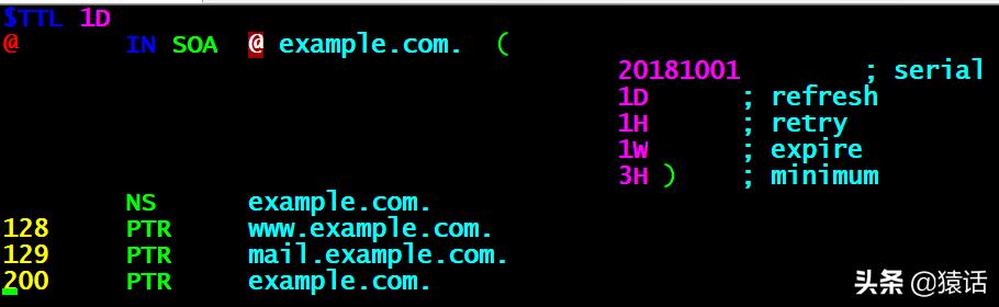 搭建dns服务器关键步骤文字描述,内网dns服务器搭建开源产品