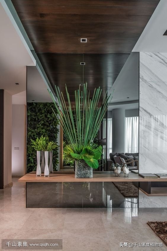 植物墙一般用什么植物,植物墙制作注意事项