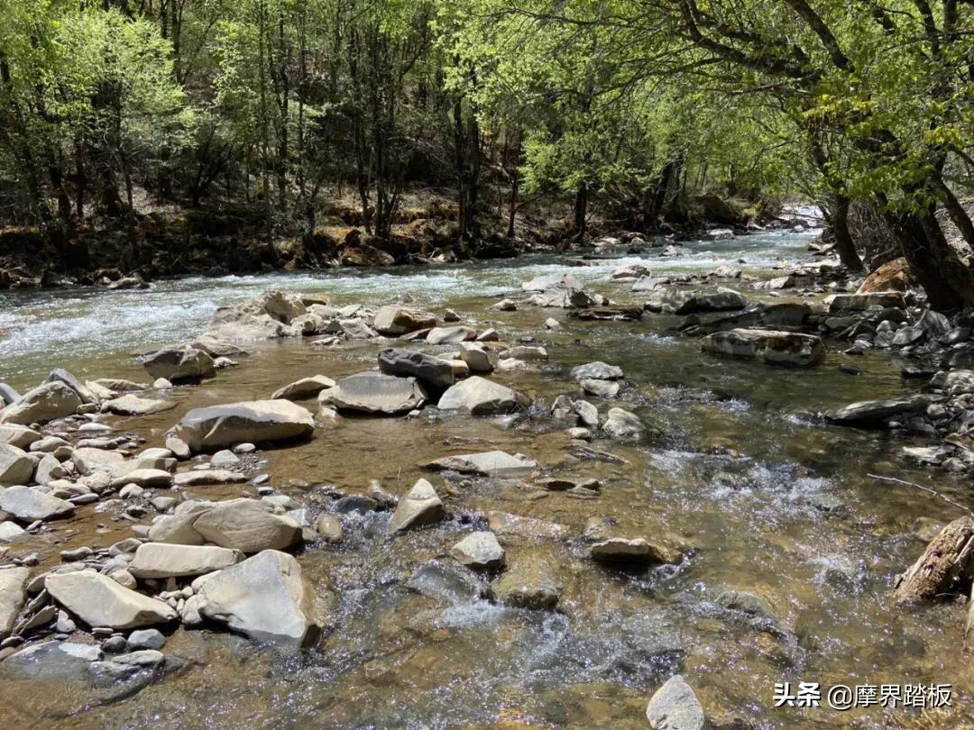 吕文广全部视频,吕文广浙江