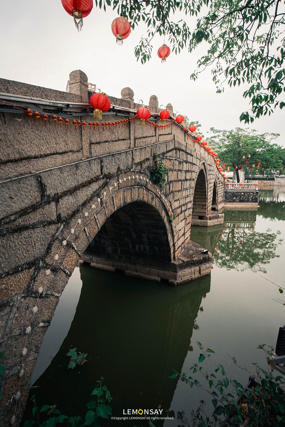 沙井的蚝,沙井为什么这么多蚝