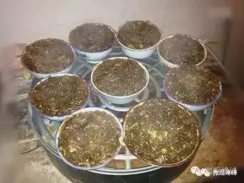 邯郸国庆亲子游人少风景好,邯郸周边二日游的绝佳去处