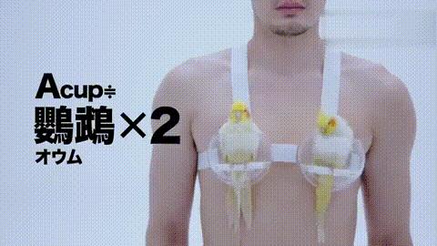 一个正经的问题,一个很正经的问题