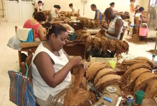 为什么古巴雪茄这么贵,古巴雪茄为啥那么贵