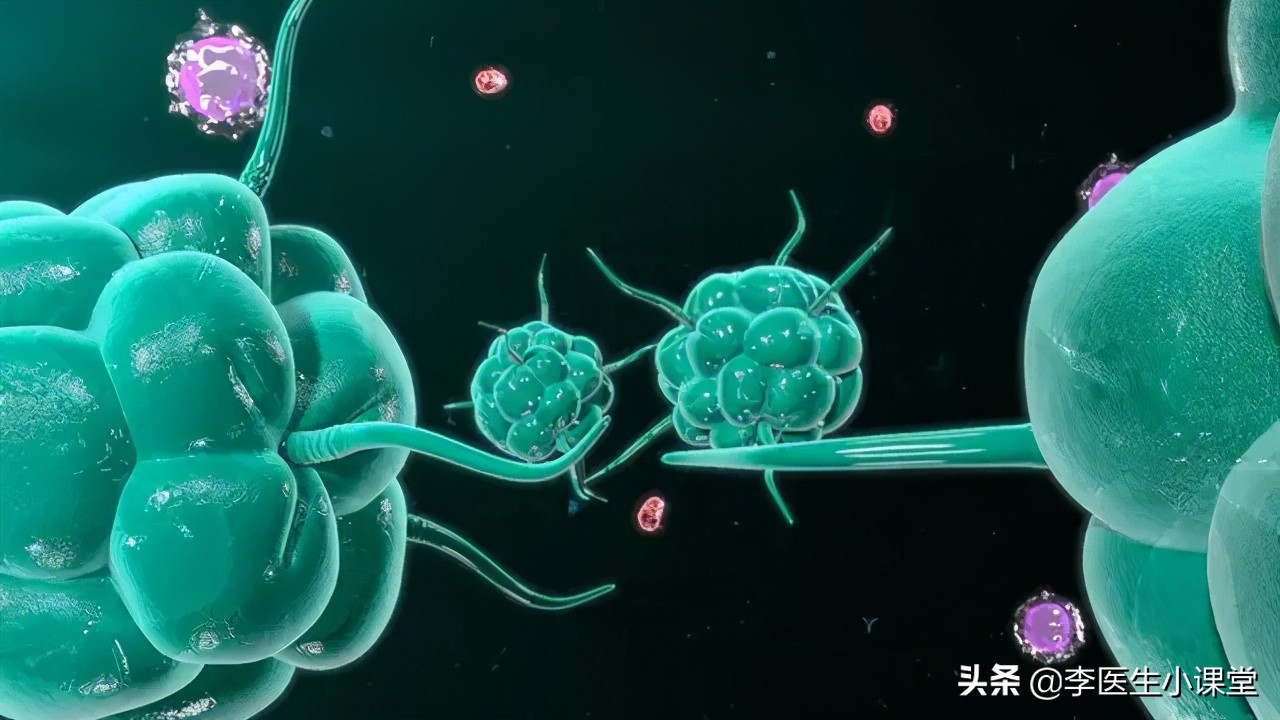 阿莫西林和头孢用对是宝用错是害,阿莫西林和头孢是抗细菌还是病毒