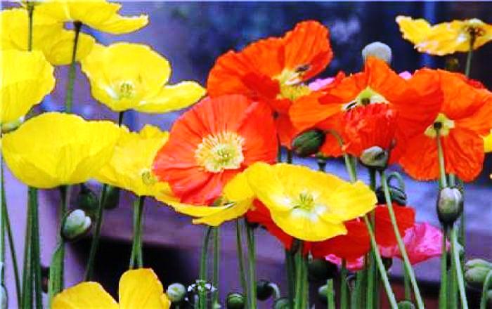 心灵鸡汤经典语录短句正能量,经典走心的心灵鸡汤语录句句精辟