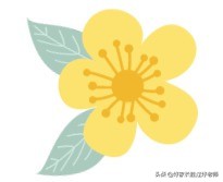 英语中考常考作文题和热点话题,中考常考的十篇作文