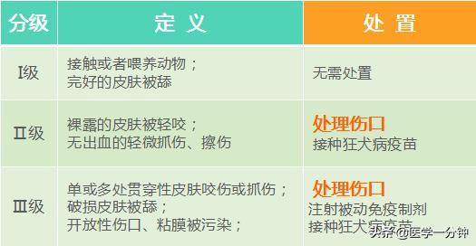 狗被狗咬伤的伤口上有狂犬病毒吗,被狗咬伤后一定会得狂犬病吗